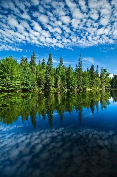Canada-Ontario-Algonquin Provincial Park-Clouds and boreal forest reflected in Canoe Lake
